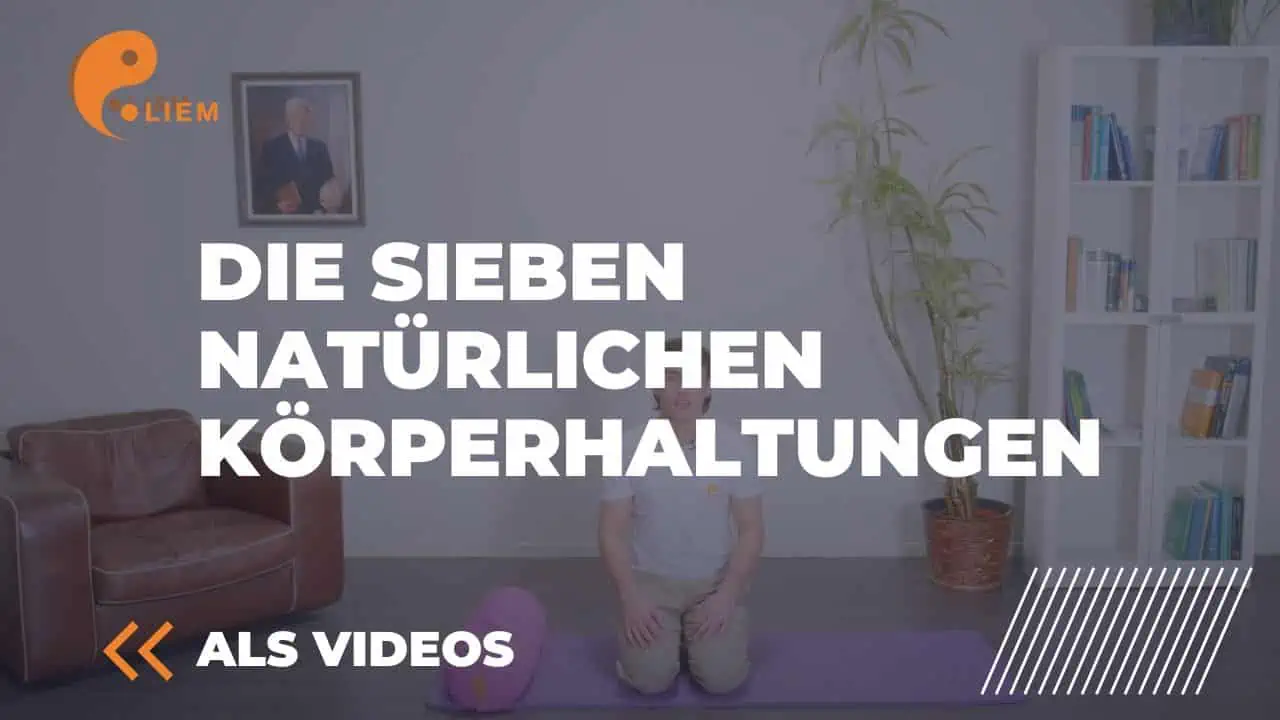 Beschreibung: Die sieben natürliche Korperlautung in Hamburg.