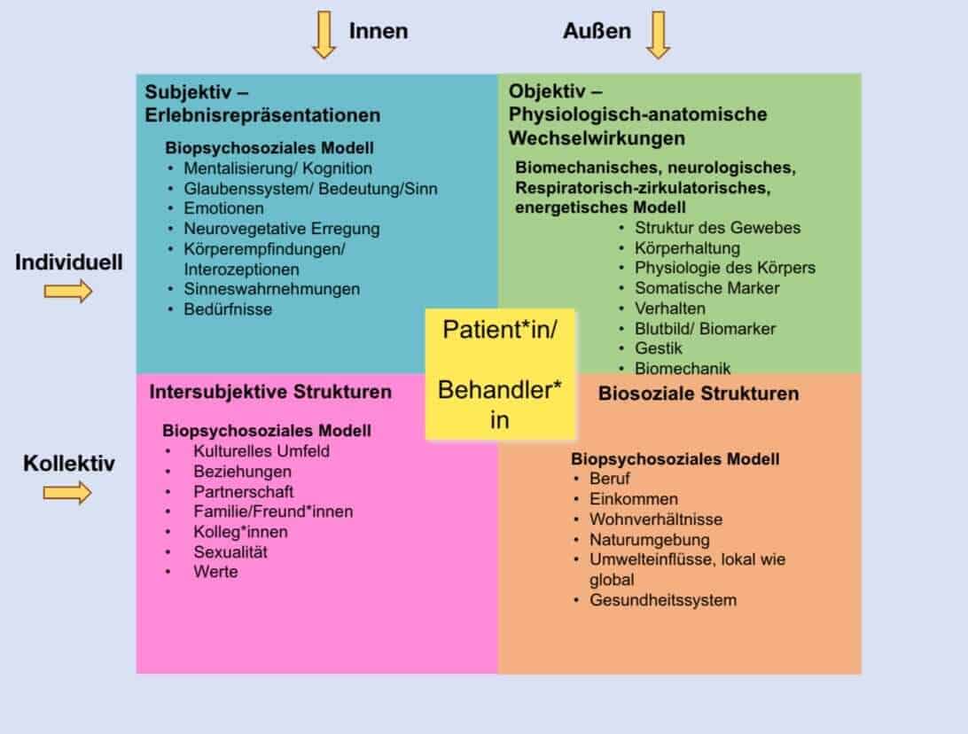 A diagram showing the different types of patients, including those seeking paediatric osteopathy and sports osteopathy in Hamburg.