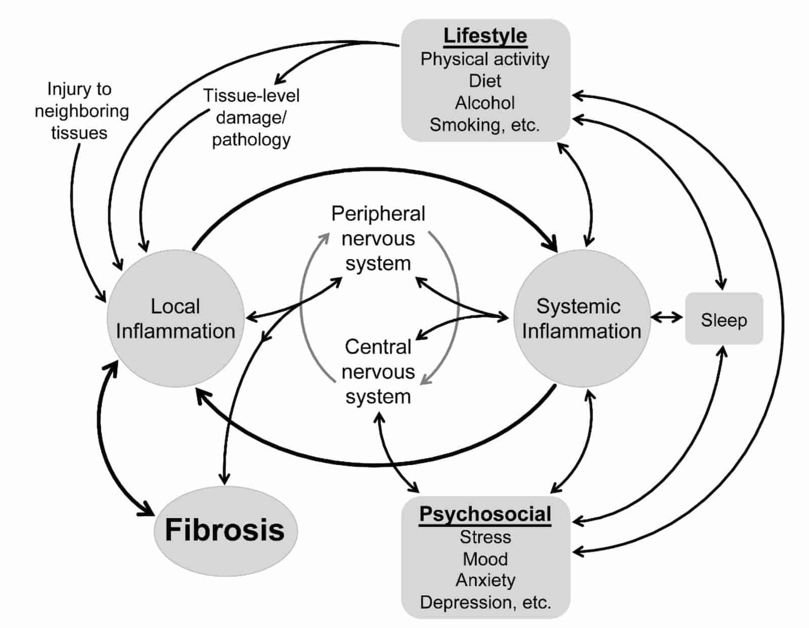 A diagram illustrating the course of fibromyalgia with a focus on Osteopathy Hamburg.