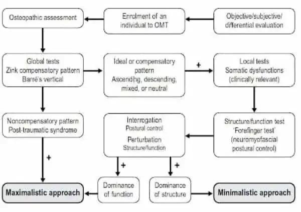 Ein Flussdiagramm, das den Ablauf einer klinischen Studie veranschaulicht, einschließlich der Rolle der Sportosteopathie in Hamburg.