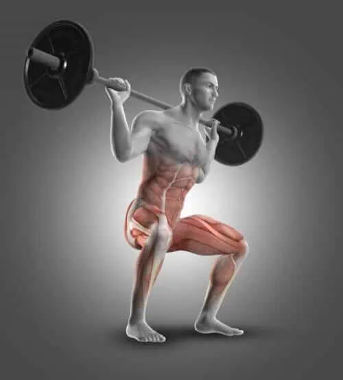 Ein Mann führt Kniebeugenübungen mit einer Langhantel durch und sucht die Expertise eines Osteopathen in Hamburg.