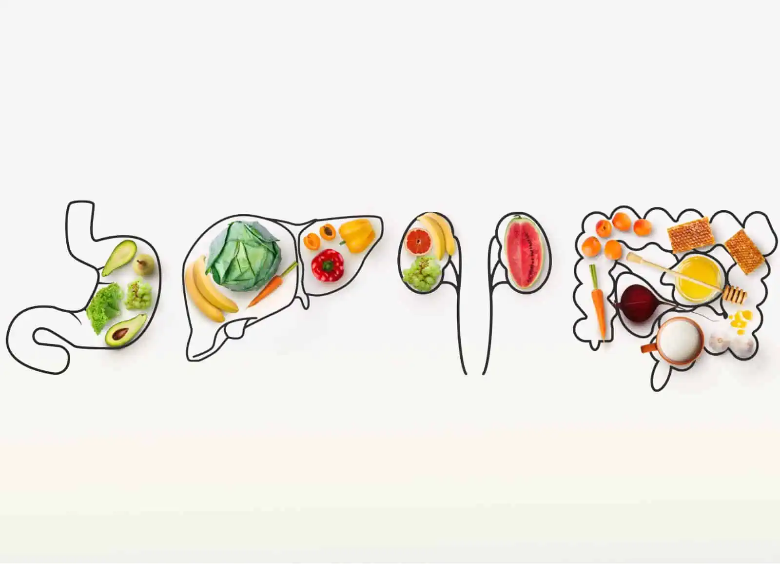 Ein kreatives Kunstwerk des Magens einer Person, das vollständig aus Obst und Gemüse besteht und die Integration der Prinzipien der Osteopathie und Sportosteopathie in Hamburg zeigt.